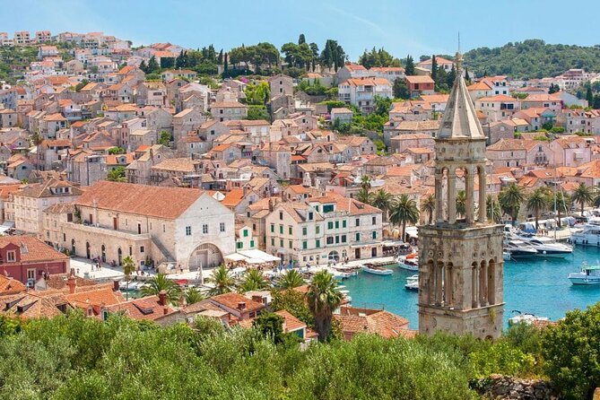 4 Islands Tour from Split to Zlatni Rat, Hvar & Pakleni Islands - Milna wine tasting: the included flavor stop, with a timing mindset