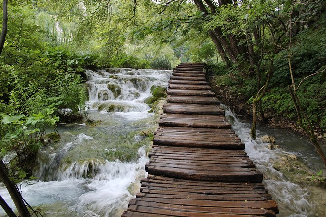 All inclusive luxury daytrip Plitvice Lakes from Split or Trogir - Ranch Deer Valley: Feeding deer and tasting farm-style food
