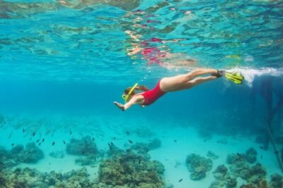 Blue Cave Full-Day Boat Tour with Hvar and 5 Islands - Navy Blue Yachting crew and the comfort of a 12-person cap