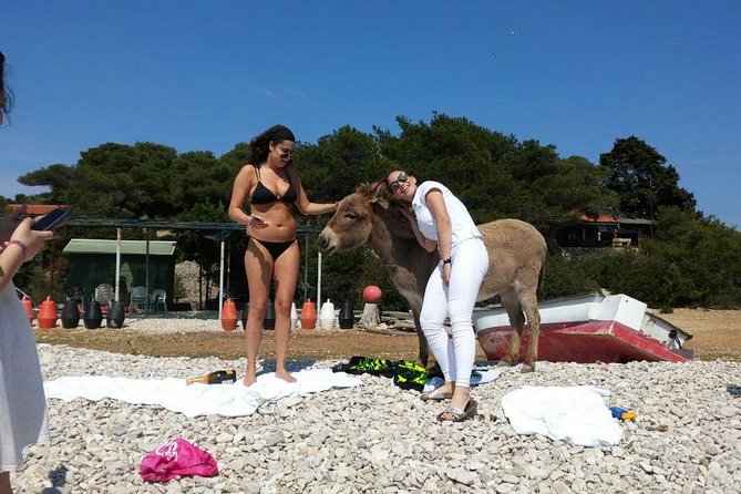 Blue Cave, Hvar and Five islands - Small-Group Tour From Split - The small-group part: what it means on the water