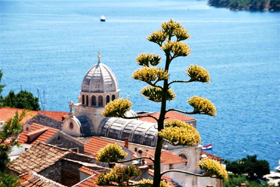 Dalmatian Delights: Food & Wine Tour from Split or Trogir - What can go wrong (and how to protect your expectations)