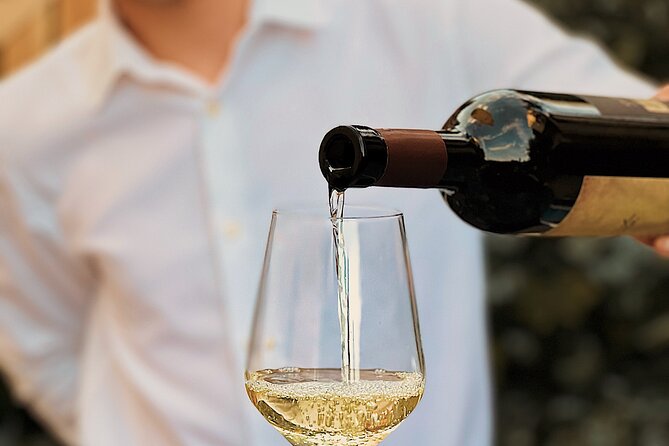 Dalmatian wine tasting by Bottiglia wine & deli - Timing and pacing: plan for about an hour, but don’t be shocked if it runs long