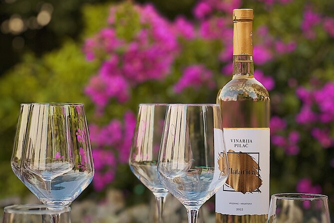 Dalmatian wine tasting by Bottiglia wine & deli - Should you book this Dalmatian wine tasting?