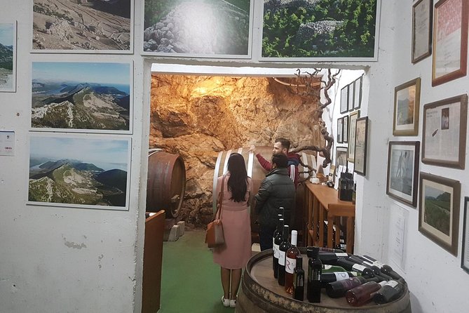Day Trip to Dubrovnik From Split - Ston Stop and Oyster Tasting at a Family Farm