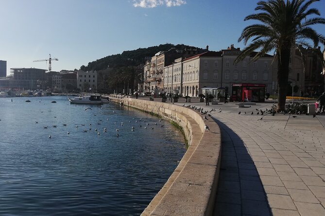 Diocletian's Palace Small Group Tour in Split - How the Walking Tour Style Fits a Real Day in Split