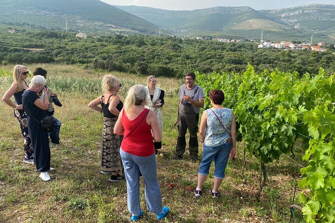 Family-run Vineyard Tour & Award Winning Wine Tasting/Delicacies - Kaštela Vineyard Life in Bijaći: What Makes This Tour Feel Authentic