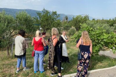 Family-run Vineyard Tour & Award Winning Wine Tasting/Delicacies - The Olive and Almond Walk: Real Work Behind Extra Virgin Olive Oil