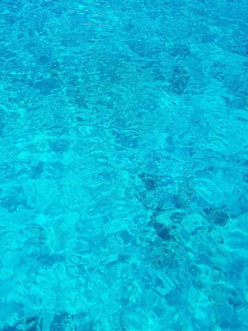 From Hvar: Blue cave group speedboat tour full day - Stiniva Cove: postcard cliffs, and you’ll likely row in