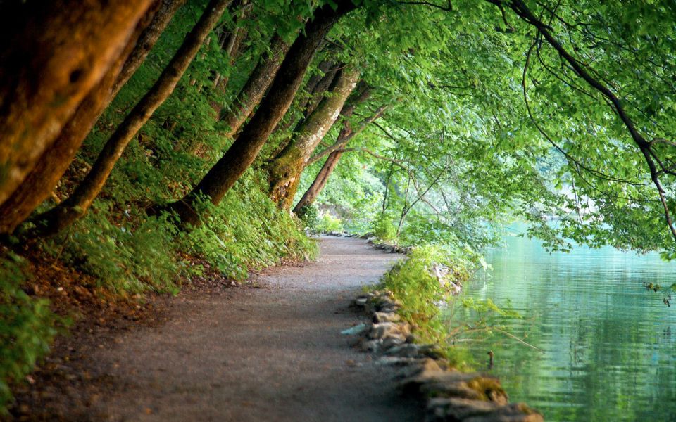 From Split or Trogir: Plitvice Lakes Guided Full-Day Tour - Key points at a glance