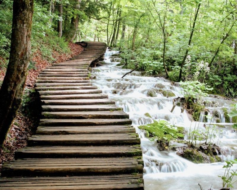 From Split or Trogir: Plitvice Lakes Guided Full-Day Tour - Lunch Breaks and What to Pack for a Full Nature Day