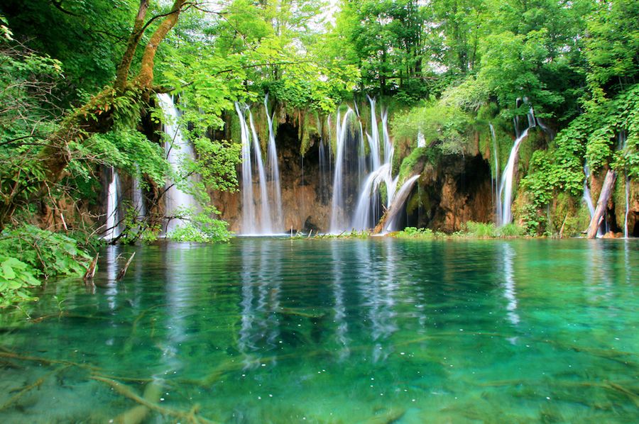 From Split or Trogir: Plitvice Lakes Private Tour - On the Boardwalks: 16 Lakes, 90+ Waterfalls, and the Korana River