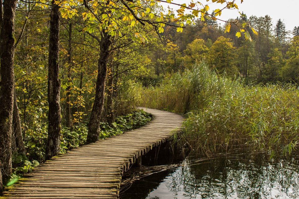 From Split: Private Tour to Plitvice Lakes National Park - Wildlife, film history, and why Plitvice feels so famous