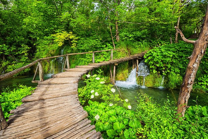 From Split to Zagreb: Plitvice Lakes Private Guided Tour - Price and Value: Is $390.52 Per Person Reasonable?