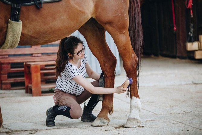 Full day Horse riding & Quad biking - Price and value: what you’re actually paying for