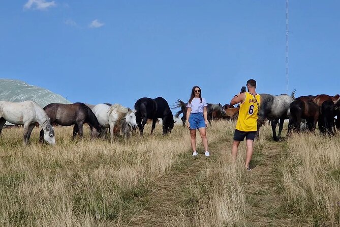 Full-Day Quad and Wild Horses Safari in Livno from Split - Safety and Group Size: Why This Feels More Personal