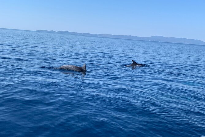 Fully customized private boat trip from Trogir and Split - What’s included (and what you’ll supply yourself)