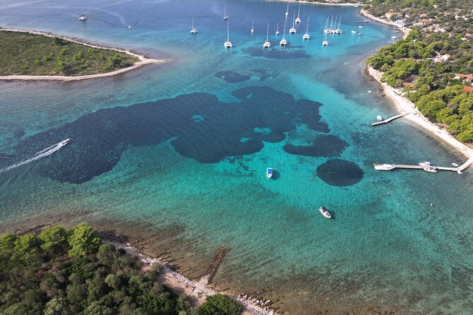 Half-Day Private Blue Lagoon Island Tour in Croatia - Timing, tickets, and the simple logistics that help
