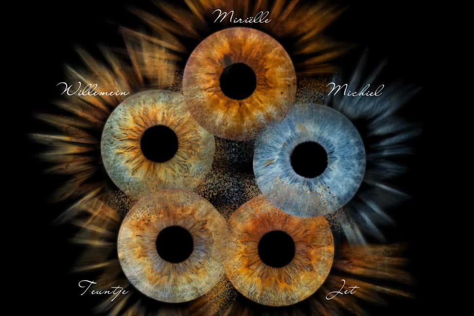IRIS Photography (macro photo of your eye) - Key Points You’ll Care About