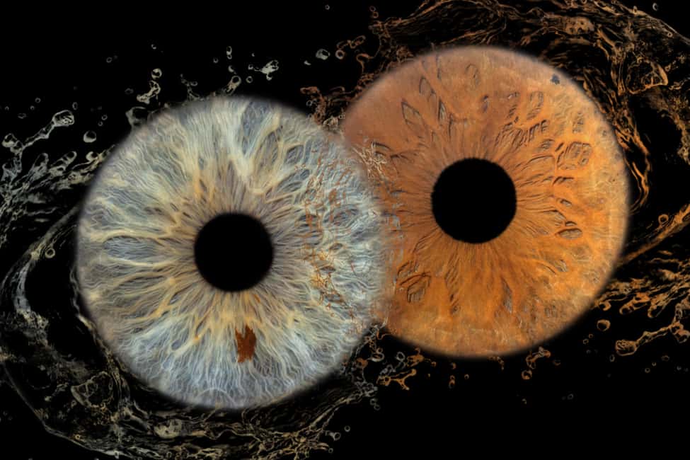 IRIS Photography (macro photo of your eye) - Why Iris Macro Photography Feels So Personal in Split