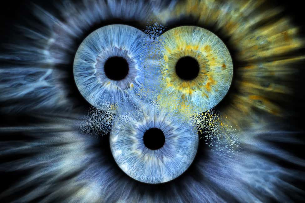 IRIS Photography (macro photo of your eye) - What Happens During Your 10-Minute Iris Macro Session