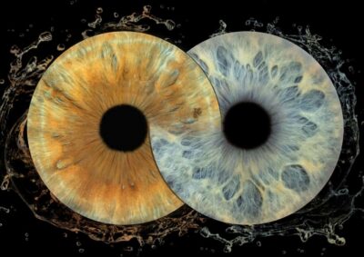 IRIS Photography (macro photo of your eye) - Finding the Studio: Kralja Zvonimira 7 Near Riva