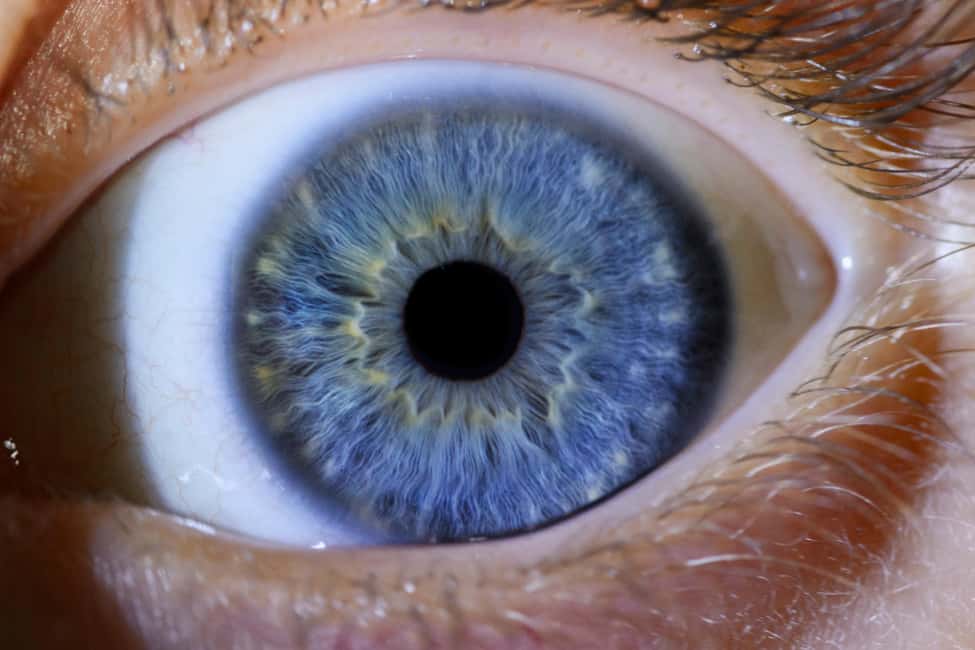 IRIS Photography (macro photo of your eye) - Your Iris Photo Isn’t Just Pretty: It’s Built on Uniqueness
