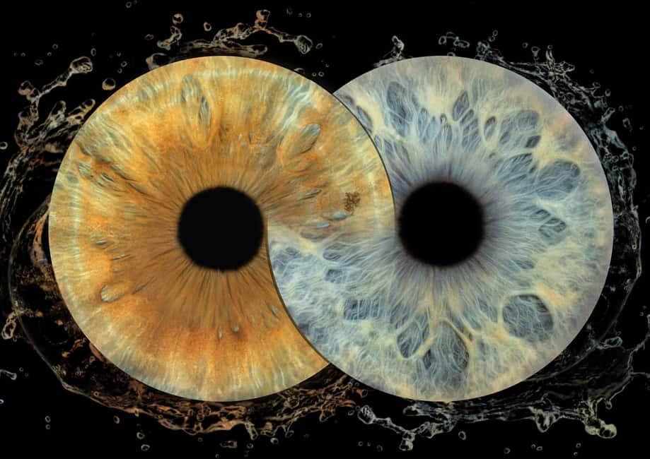 IRIS Photography (macro photo of your eye) - Finding the Studio: Kralja Zvonimira 7 Near Riva