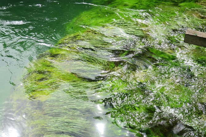 Krka waterfalls luxury tour for singles or couples - Price and value: what you’re really paying for
