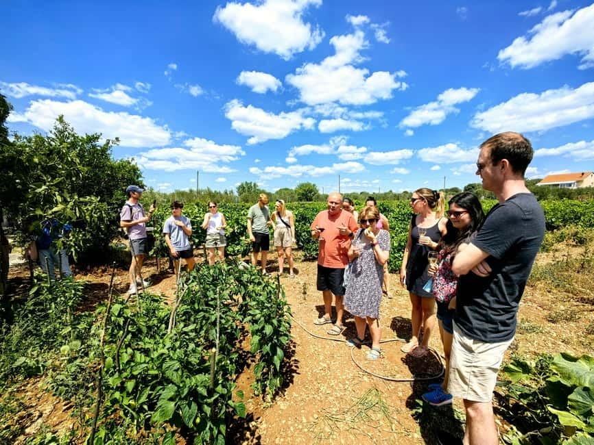 Krka waterfalls tour with lunch from Split - Lunch and wine in the local village: the farm-to-table part