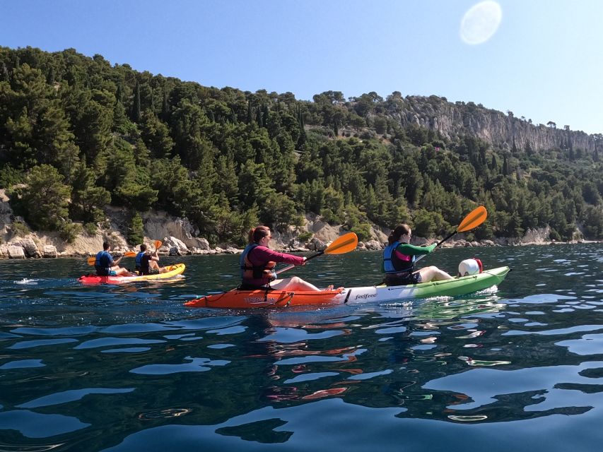 Morning Split Sea Kayaking Tour - Paddling basics you’ll actually use