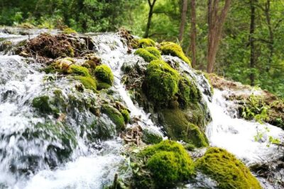 NP Krka waterfalls & Wine tasting - Private day tour from Split - Krka National Park: mills, river paths, and Skradinski buk views