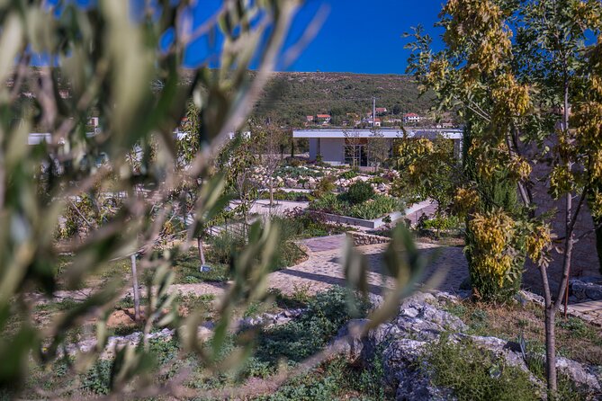 Olive museum Klis with educational olive oil tasting - When This Tour Fits Your Split Itinerary Best