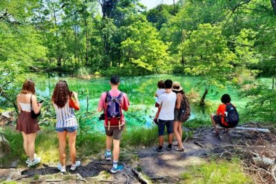 Plitvice Lakes Economy Group Tour from Split or Trogir - Getting to Plitvice: comfort, WiFi, and a useful route break