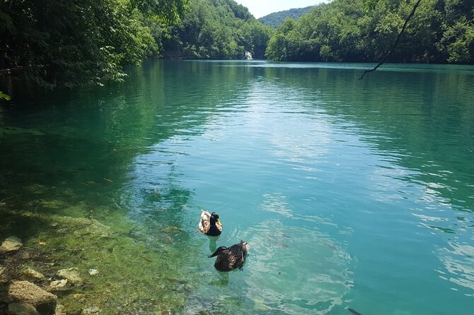 Plitvice Lakes Small Group Tour Ecco from Split or Trogir - Key Points at a Glance
