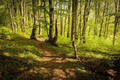 Plitvice Lakes Tour from Split with Entrance Ticket included - The guide experience: Marte and Franco, plus real-world pace issues