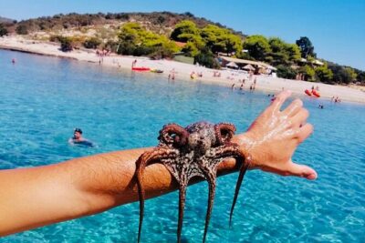 Private Blue Cave Tour from Split, Brač, Trogir and Hvar - Blue Cave: tickets, small boats, and the timing that shapes your photos