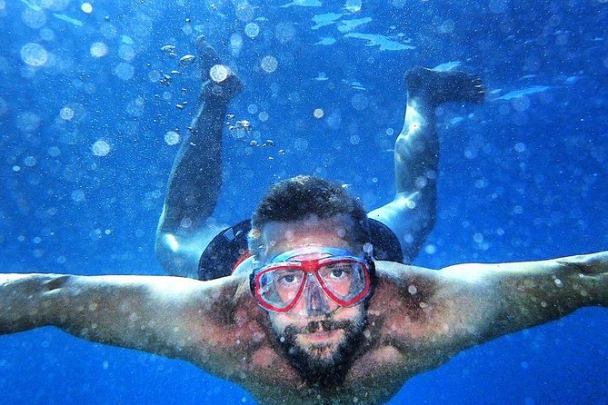 Private boat tour for small groups to Blue Lagoon and Solta Island - Key highlights
