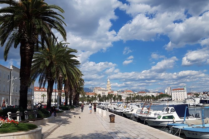 Private Full-day Dubrovnik and Ston Tour from Split - Saint Blaise and Rector’s Palace: Quick cultural anchors inside town