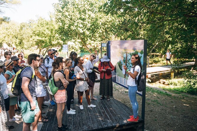 Private Full-Day Krka Waterfalls Tour with Wine Tasting - Stop 1: The Dalmatian Coast Drive to Set the Mood