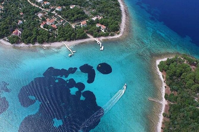 Private Half day Blue Lagoon Tour - Guide Style, Boat Comfort, and How the Day Flows