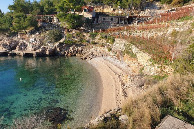 Private tour to Bol (Zlatni Rat), Jelsa and Vrboska on Hvar Island - Your day’s rhythm: how this 9-hour route feels in practice