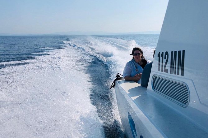 Private Water taxi from Split to Brac island - From Airport to Island: What the Transfer Feels Like in Motion