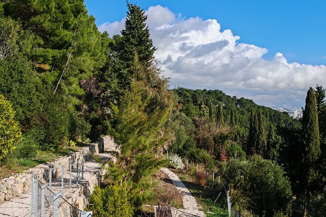 Secret Marjan Park Hiking Tour in Split - From Riva to Marjan Park: a smart escape from Split traffic