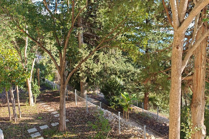 Secret Marjan Park Hiking Tour in Split - Price and what you truly get from a $58, 3-hour hike