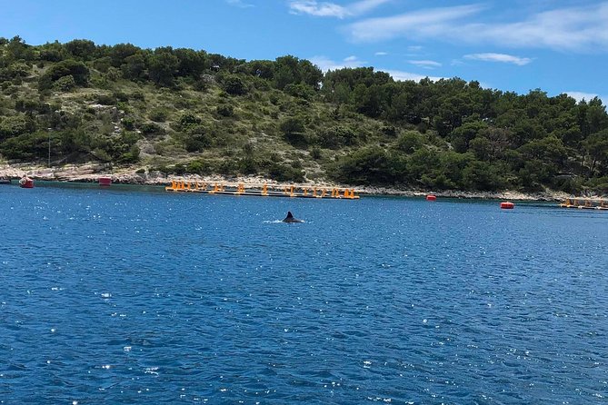 Secrets of Brac and Solta - Off the Beaten Track Croatia - What the Skipper and Crew Do That Shared Tours Don’t