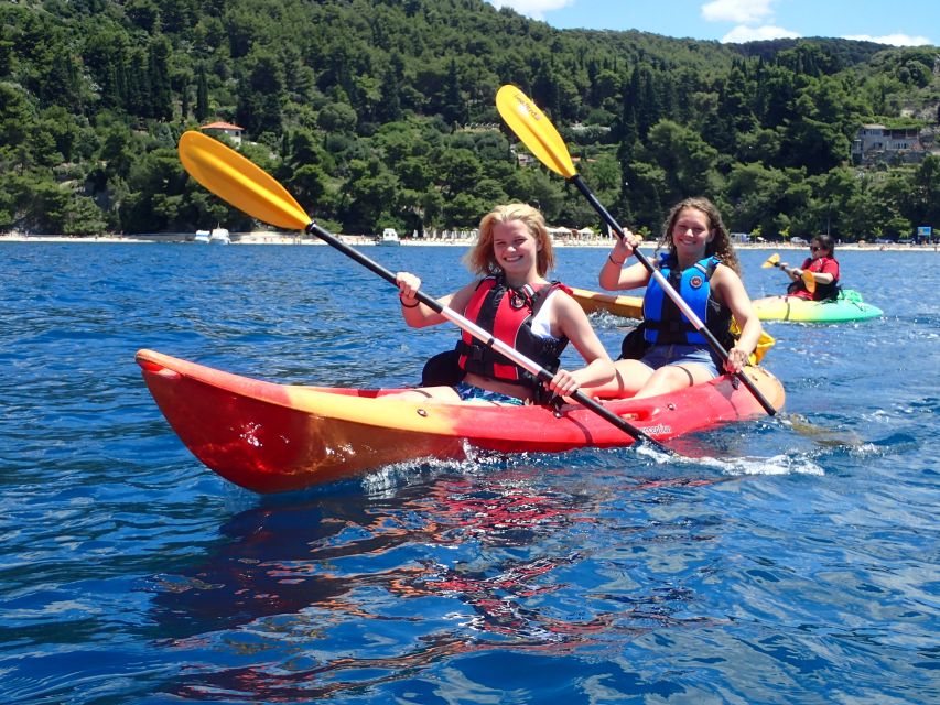 Split 4-Hour Guided Sea Kayak Tour - Key highlights