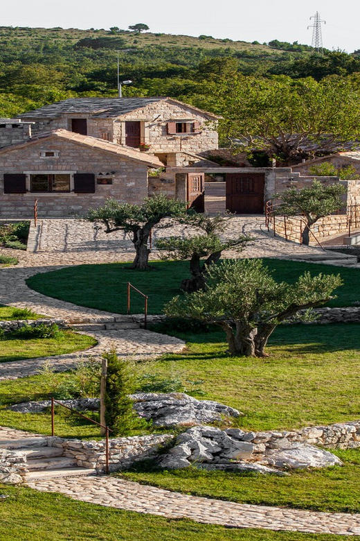 Split: Olive museum Klis with Olive Oil Tasting - Stella Croatica: An Olive Oil Lesson You’ll Actually Use