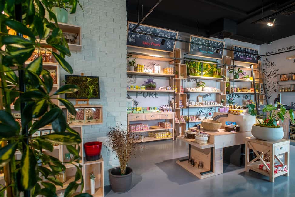 Split: Olive museum Klis with Olive Oil Tasting - Essential Oils and Natural Cosmetics: Herbs Become Practical