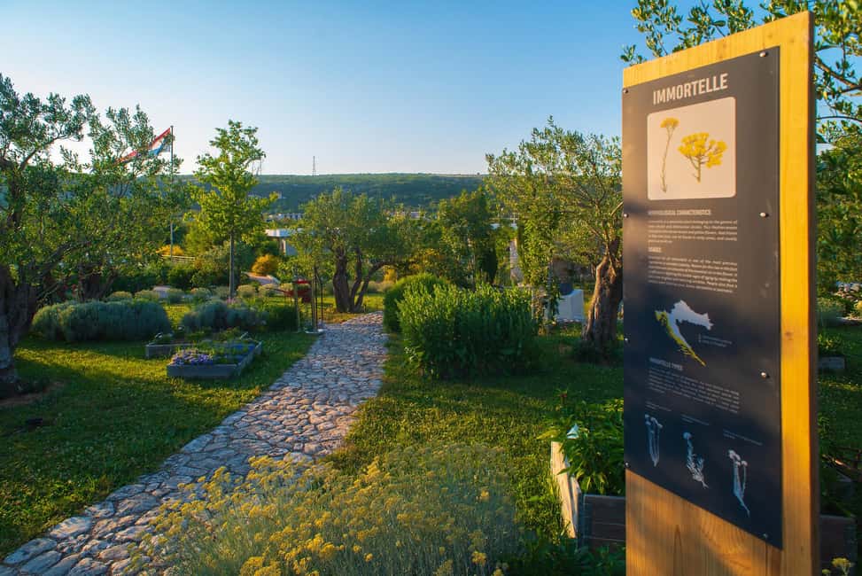 Split: Olive museum Klis with Olive Oil Tasting - Getting Oriented and Meeting Your Host