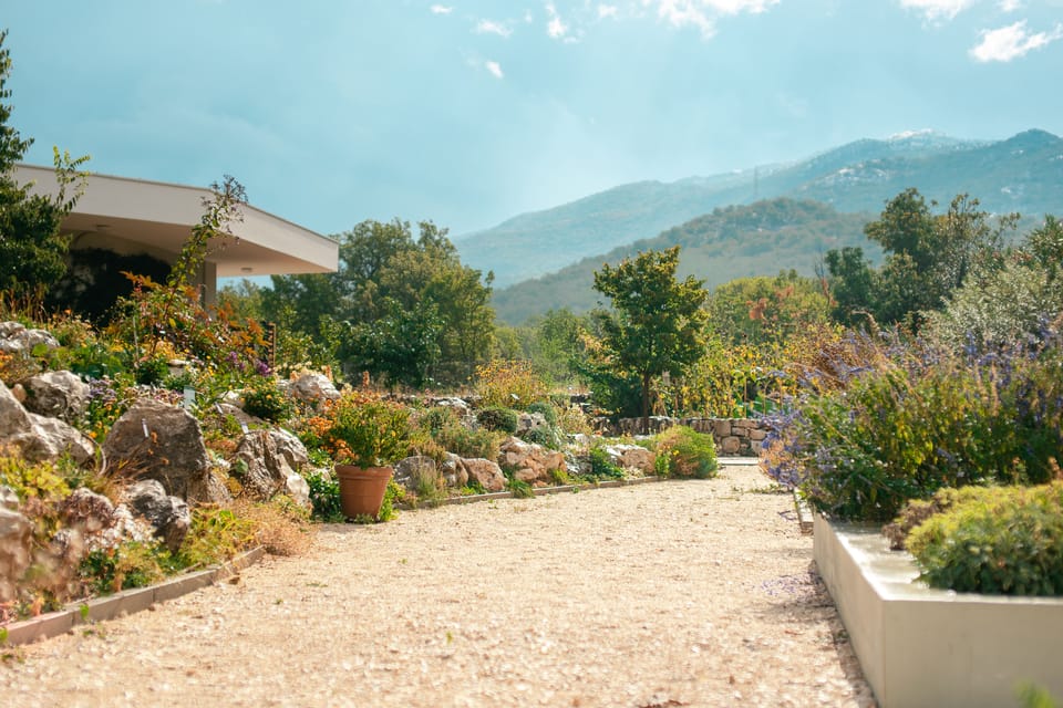 Split: Private tour to Klis Fortress and Vranjača cave - Stella Croatica Ethno-Agro Park: Olive Culture, Plant-Based Traditions, and Easy Souvenir Wins